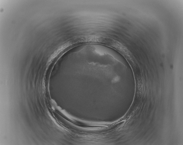 X0000064770674200602171825