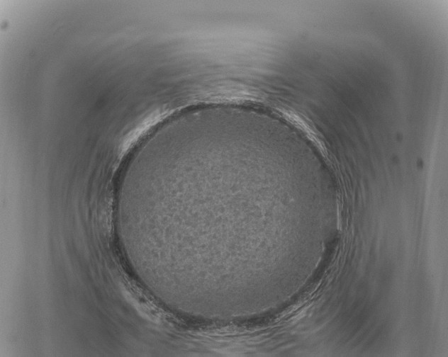 X0000064770675200602171825