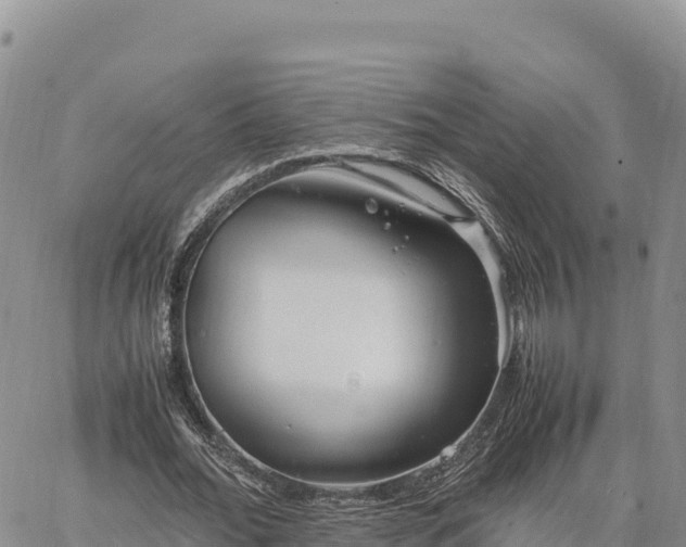 X0000064770676200602171825