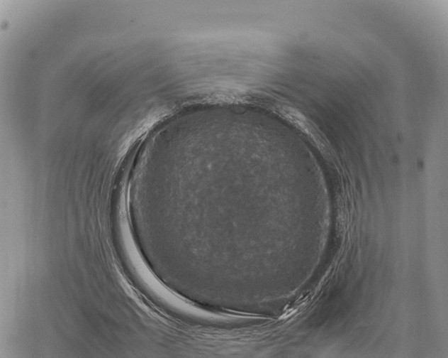 X0000064770677200602171825