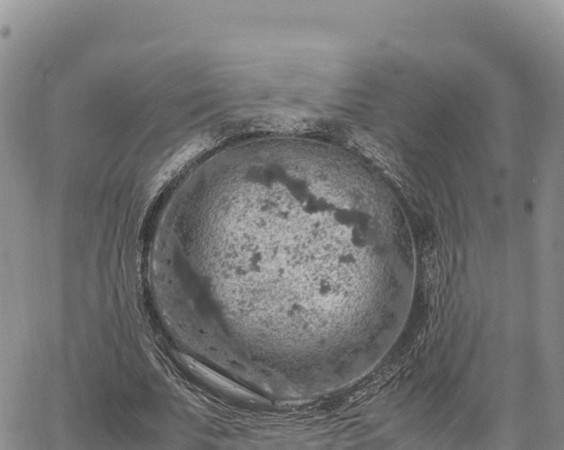 X0000064770679200602171825