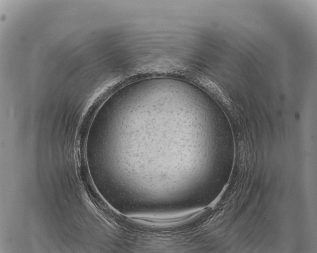 X0000064770680200602171825