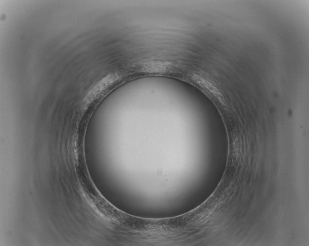 X0000064770682200602171825