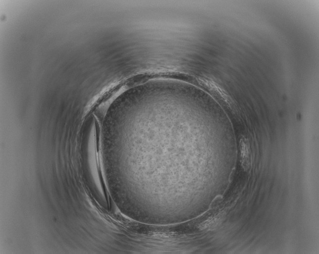 X0000064770684200602171825