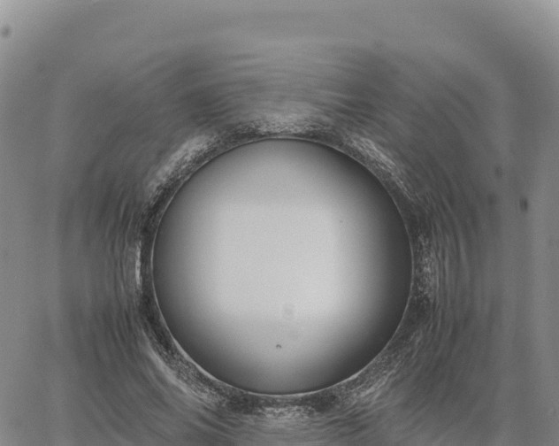 X0000064770686200602171825