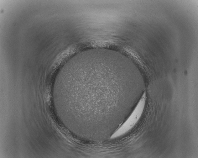 X0000064770687200602171825