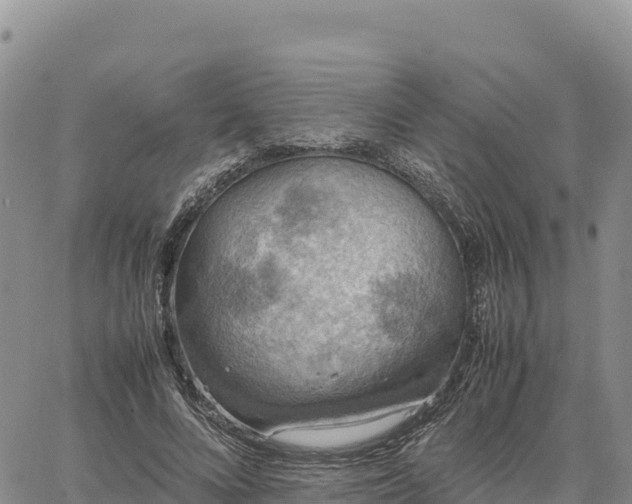 X0000064770688200602171825