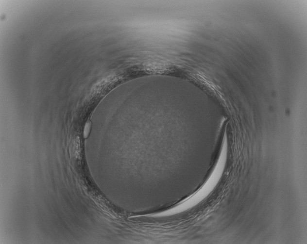 X0000064770689200602171825