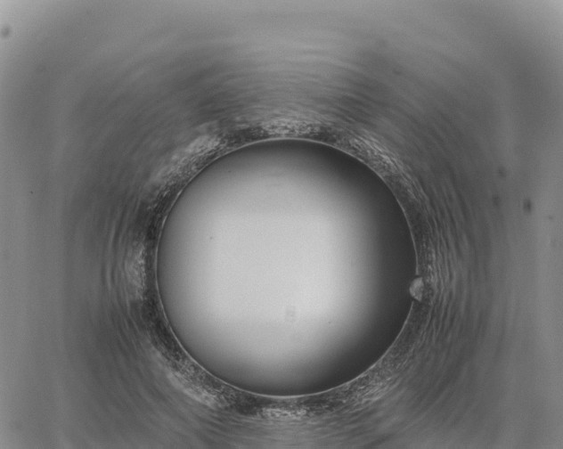 X0000064770690200602171825