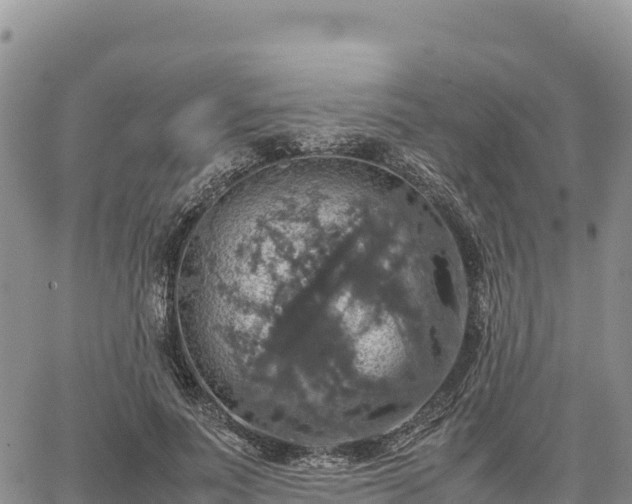 X0000064770691200602171825