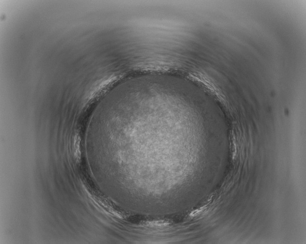 X0000064770692200602171825