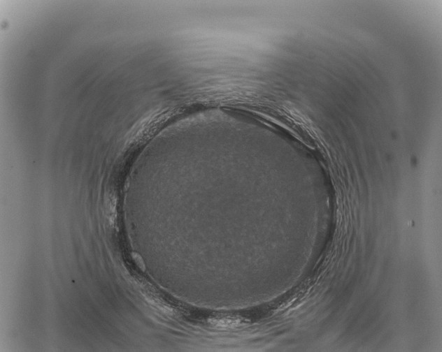 X0000064770693200602171825