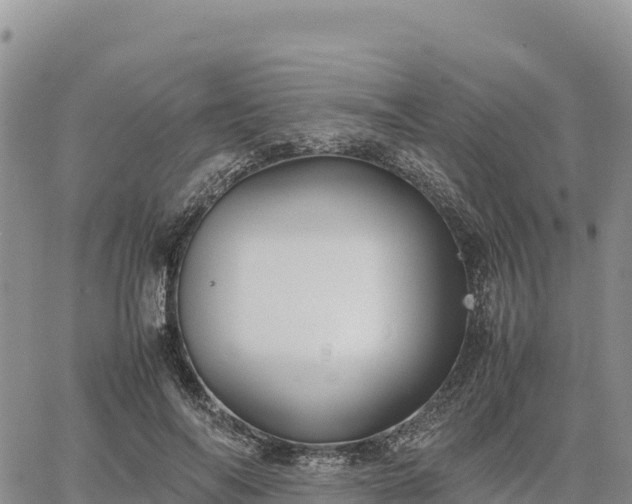 X0000064770694200602171825