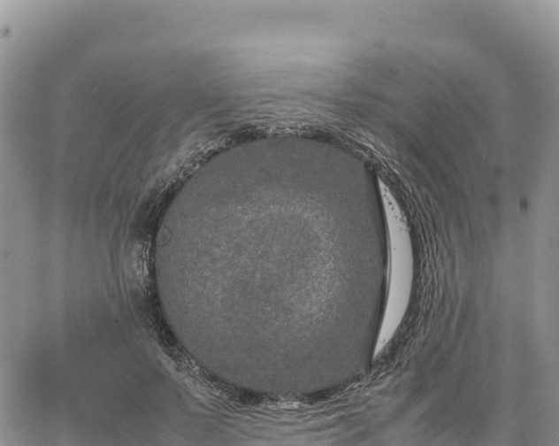 X0000064770695200602171825