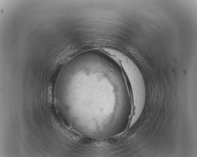 X0000064770696200602171825