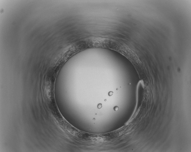 X0000064770698200602171825