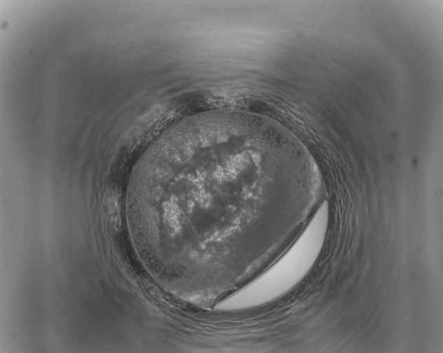 X0000064770699200602171825