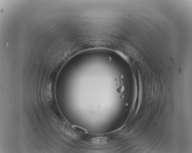 X0000064770700200602171825