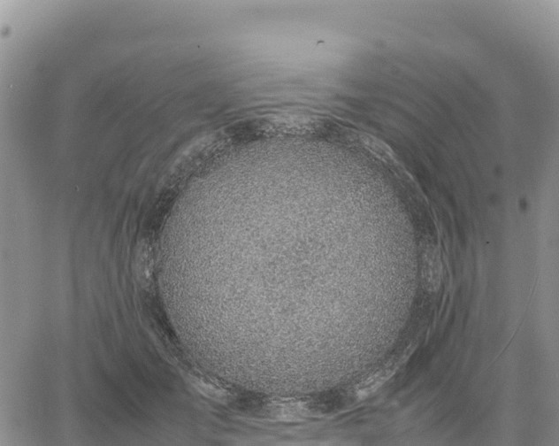 X0000064770701200602171825