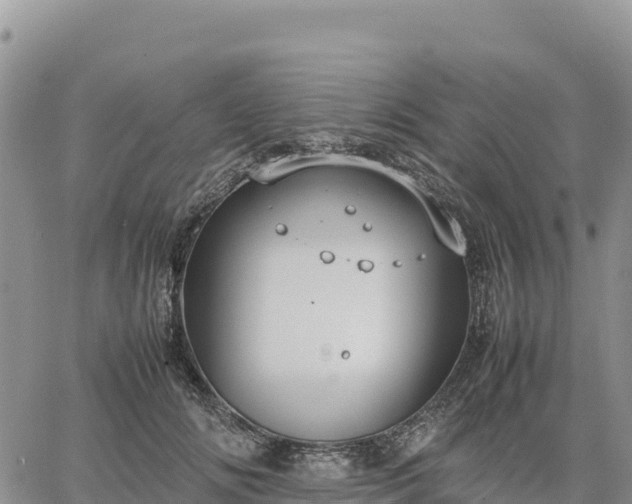 X0000064770702200602171825