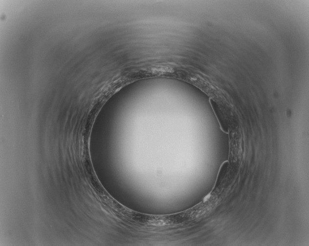 X0000064770704200602171825