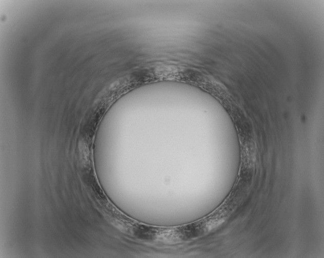 X0000064770705200602171825