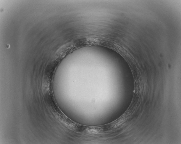 X0000064770706200602171825