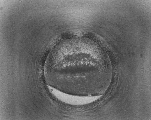 X0000064770707200602171825