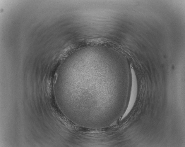 X0000064770708200602171825