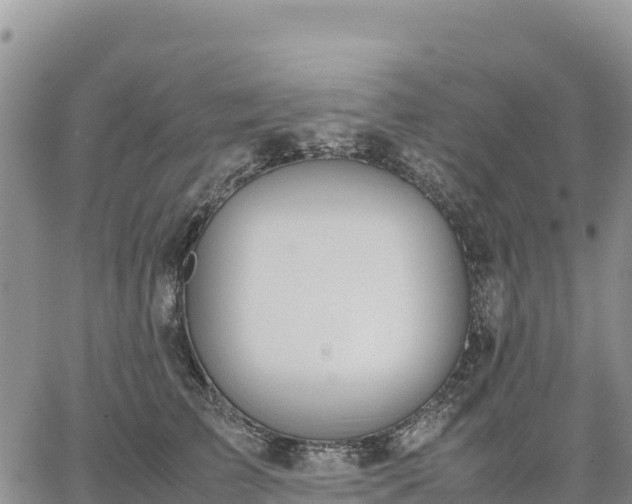 X0000064770709200602171824