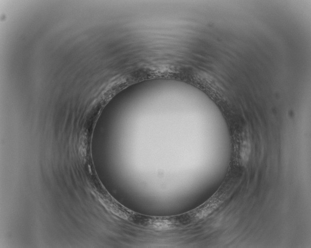 X0000064770710200602171824