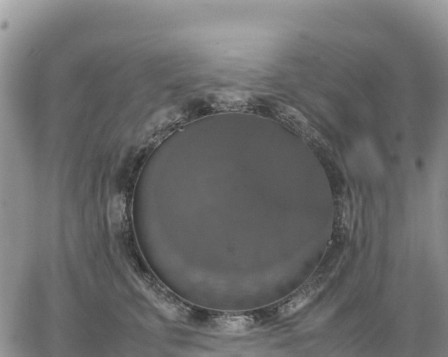 X0000064770711200602171824