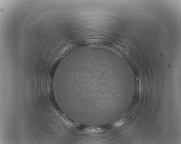 X0000064770712200602171824