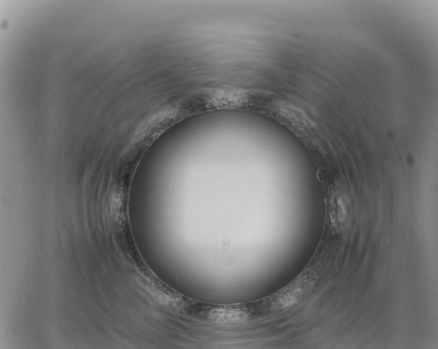 X0000064770714200602171824