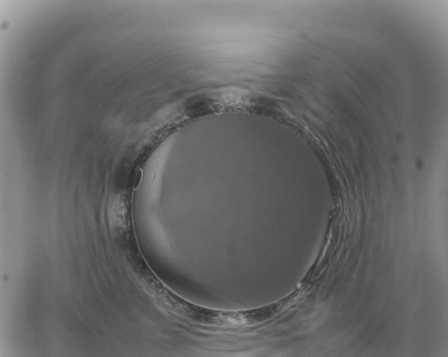 X0000064770715200602171824