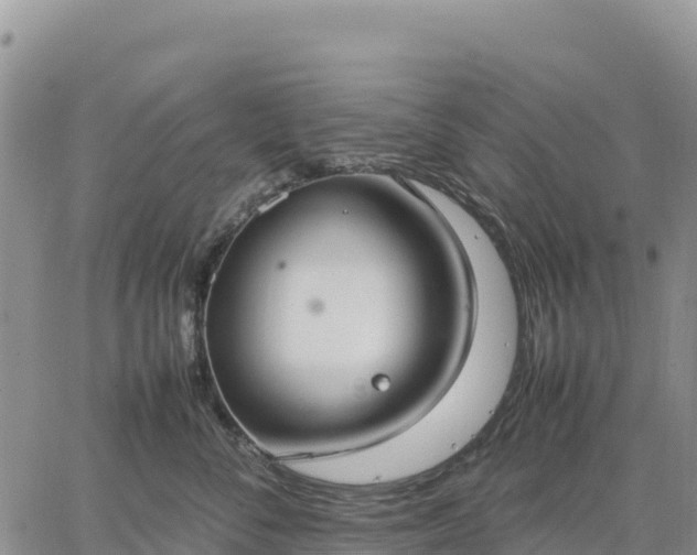 X0000064770716200602171824