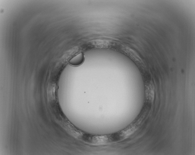 X0000064770717200602171824