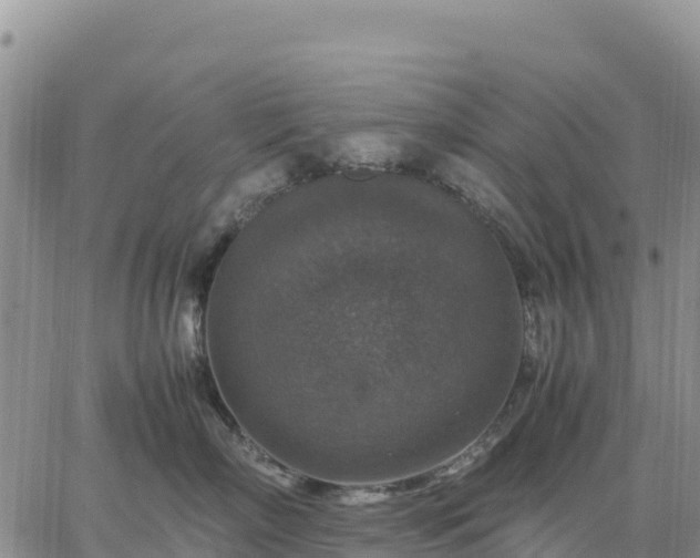 X0000064770718200602171824