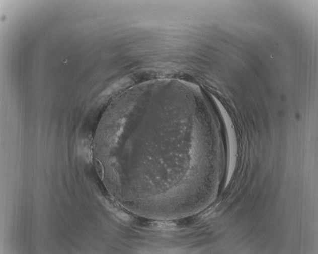 X0000064770719200602171824