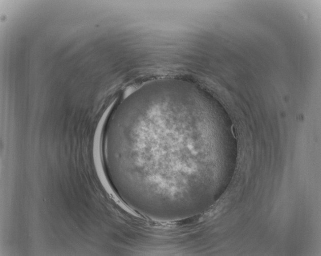 X0000064770720200602171824