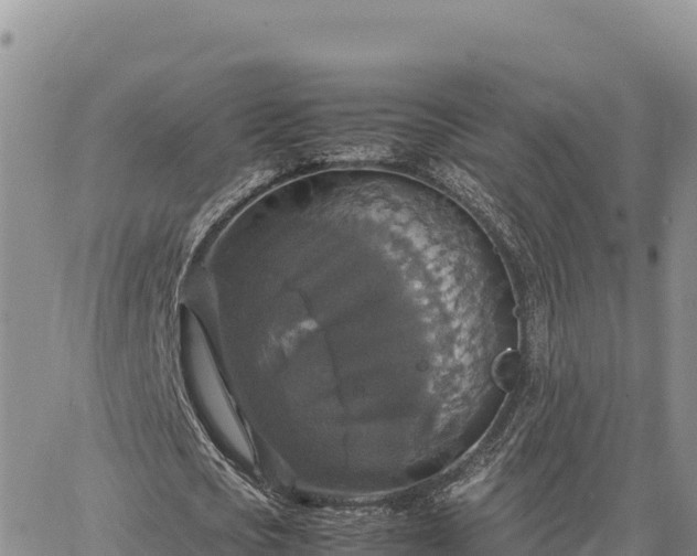 X0000064770721200602171824