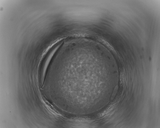 X0000064770722200602171824