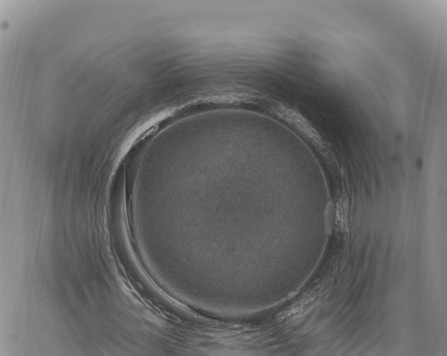 X0000064770724200602171824