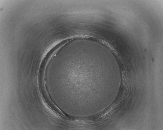 X0000064770726200602171824