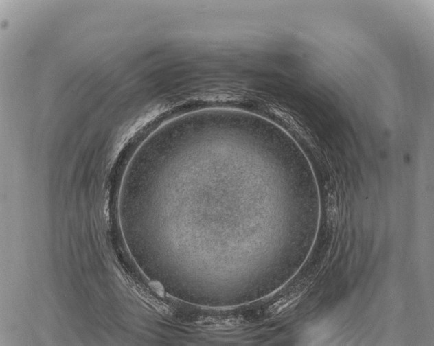 X0000064770727200602171824