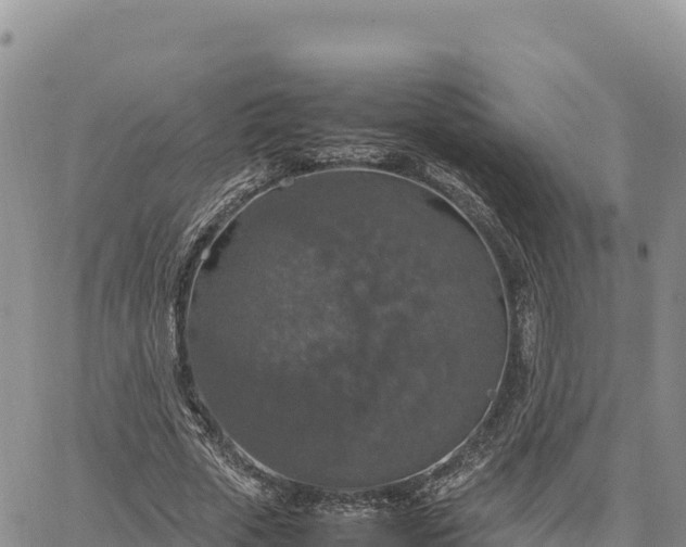 X0000064770729200602171824