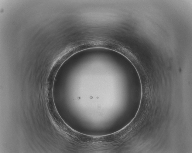 X0000064770730200602171824