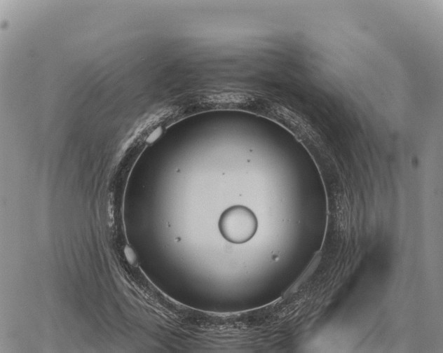 X0000064770731200602171824