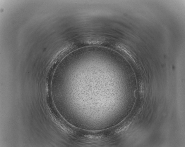 X0000064770733200602171824