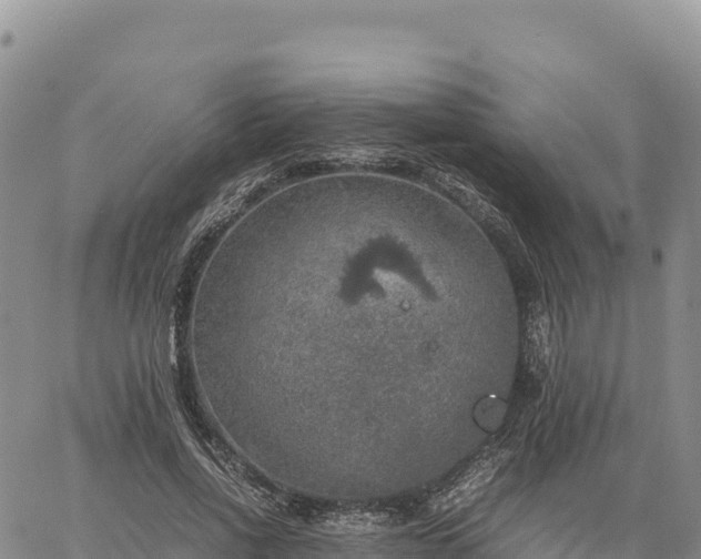 X0000064770734200602171824